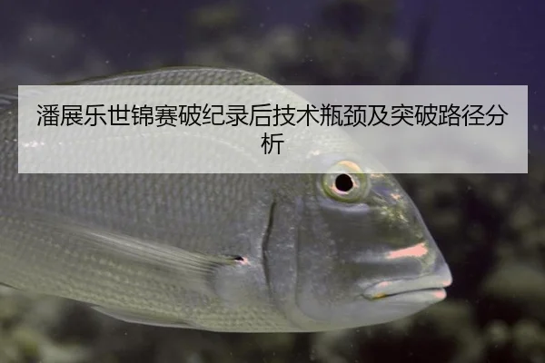 潘展乐世锦赛破纪录后技术瓶颈及突破路径分析
